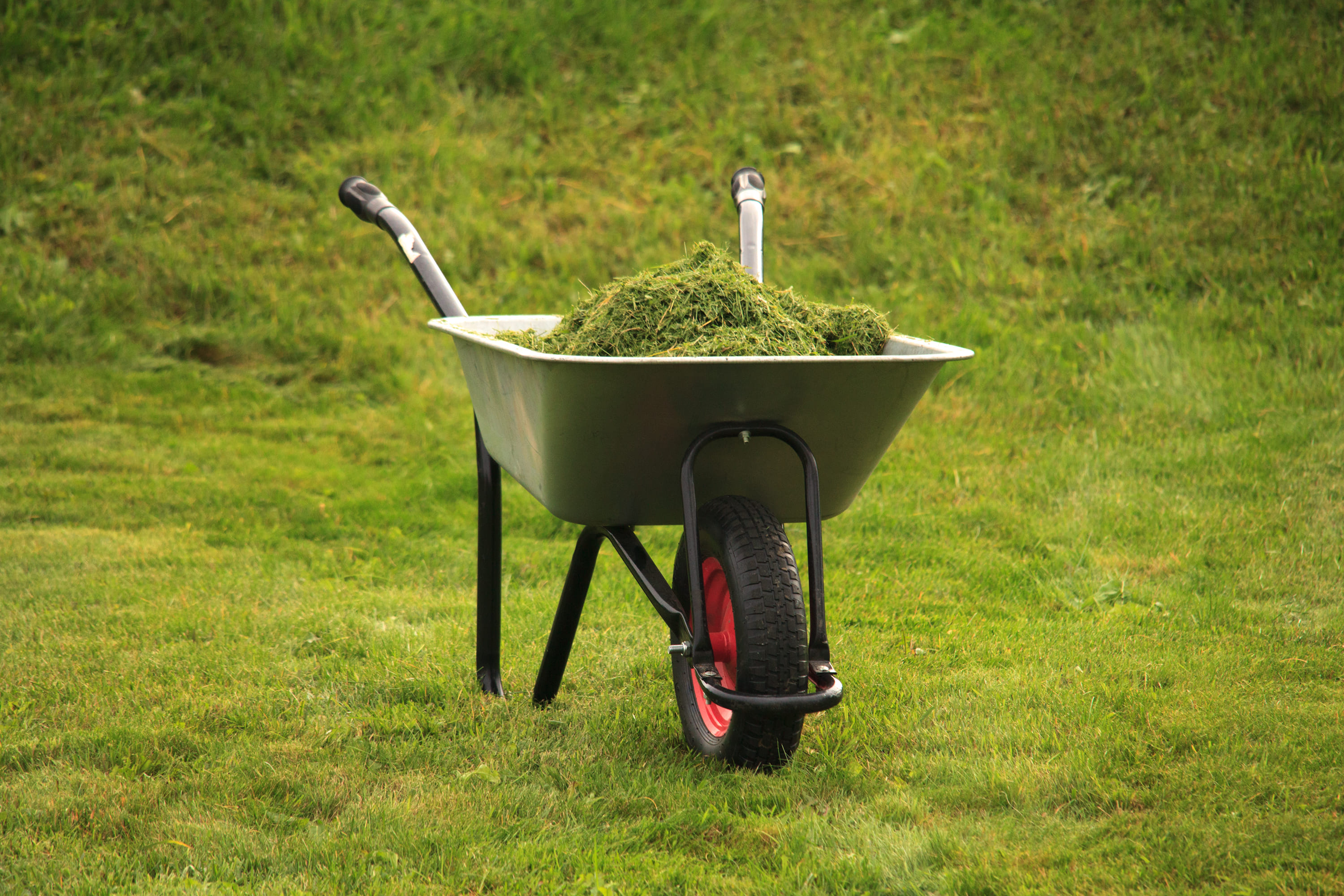 Construction wheelbarrow with grass lawn